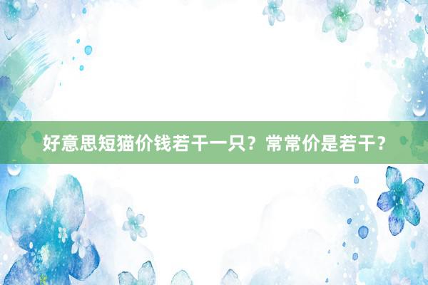 好意思短猫价钱若干一只？常常价是若干？